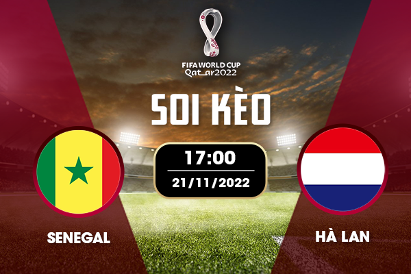 Soi kèo World Cup 2022: Senegal vs Hà Lan – 17h00 ngày 21/11/2022