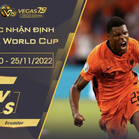 Soi kèo VCK World Cup 2022 : Hà Lan vs Ecuador 23h00 ngày 25/11/2022